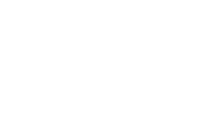 Bazar Show